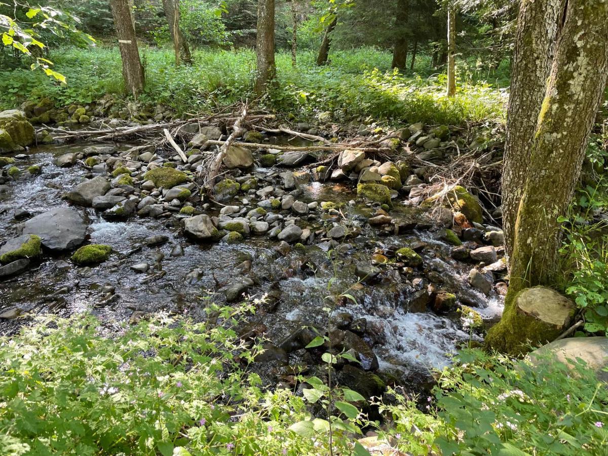 Le Chalet Du Coeur Mittlach Buitenkant foto