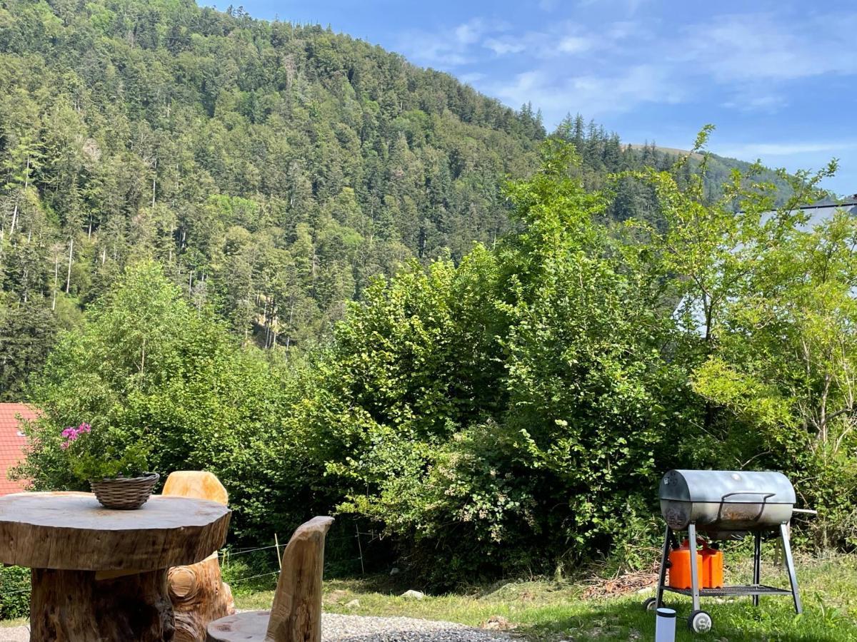 Le Chalet Du Coeur Mittlach Buitenkant foto